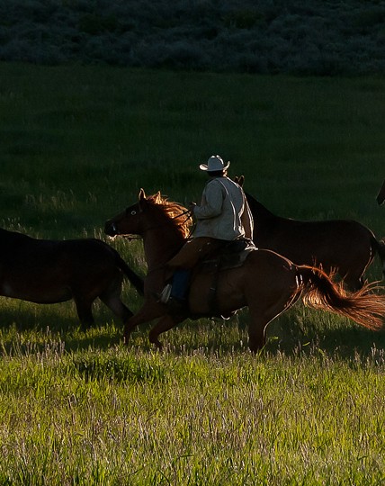 walton-ranch (6)